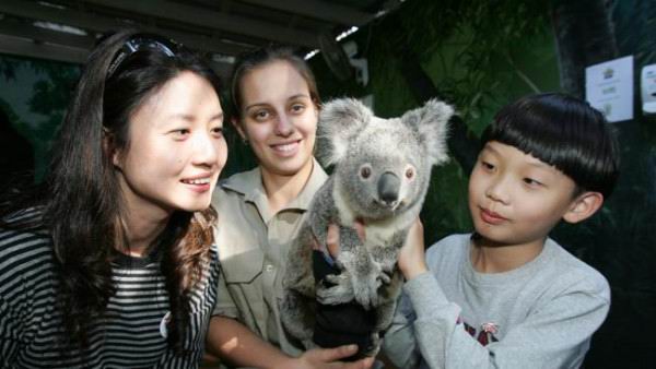 澳洲动物园