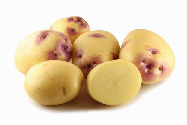澳大利亚土豆